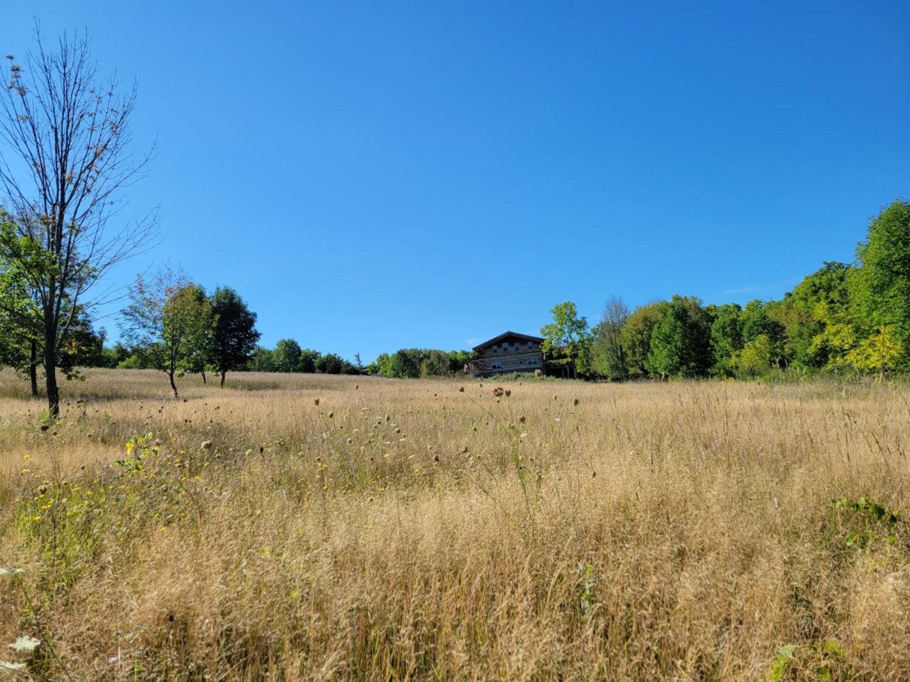 Firefly Creek Lodge Livonia Екстериор снимка